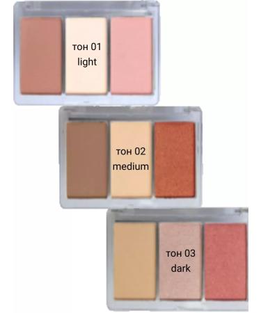 Alvin D'Or Palette 3 in 1 Trio Palette (tone 02) - Buy Online on GoSupps.com