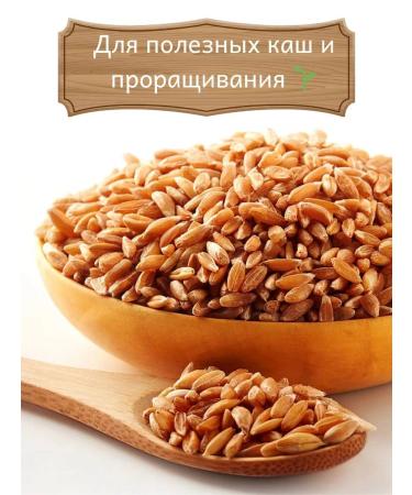 Organic Valley Polba whole for cereals and germination 500g - Buy Online on GoSupps.com