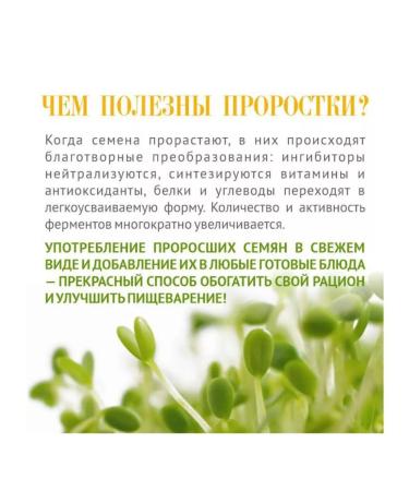 Organic Valley Polba whole for cereals and germination 500g - Buy Online on GoSupps.com