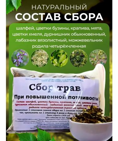 bee lab Ground collection with increased sweating tribute - Buy Online on GoSupps.com