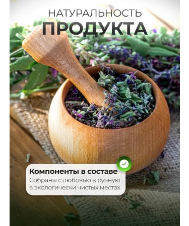 bee lab Ground collection with increased sweating tribute - Buy Online on GoSupps.com