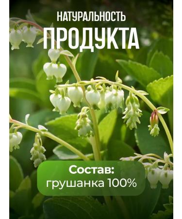 bee lab Grushanka Danila Travnik 60 grams - Buy Online on GoSupps.com