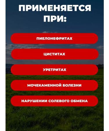 bee lab Herbal collections Halm Paul fell to cleanse the body 2pcs - Buy Online on GoSupps.com