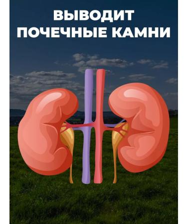 bee lab Herbal collections Halm Paul fell to cleanse the body 2pcs - Buy Online on GoSupps.com