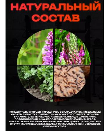 bee lab Plant concentrate 30 caps. 500 mg - Buy Online on GoSupps.com