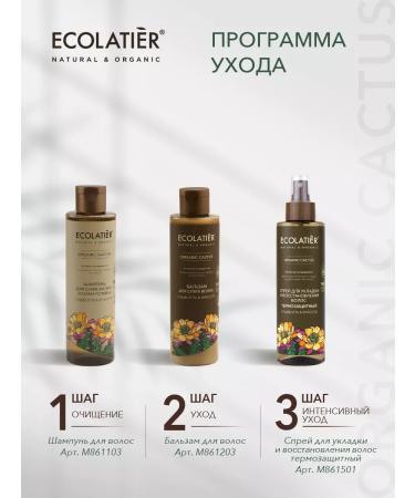 Ecolatier Shampoo for dry hair smoothness Organic Cactus 250 ml - Buy Online on GoSupps.com