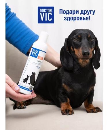 Doctor VIC Black wool shampoo for dogs and cats 250 ml - Buy Online on GoSupps.com