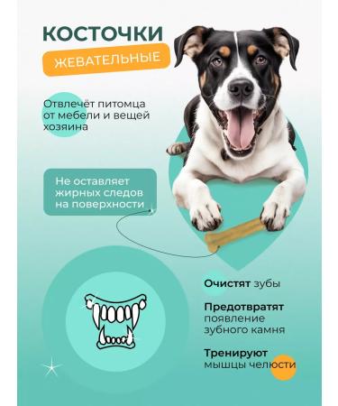 Triol Bone for dogs - Buy Online on GoSupps.com