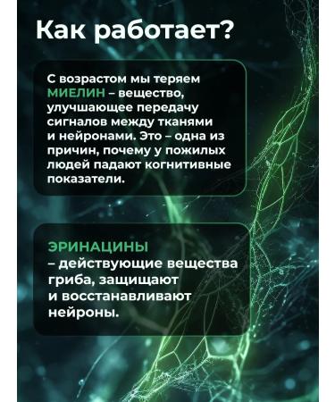 Soul Way Ezhovik Channel Mycelium 60 Capsules - Buy Online on GoSupps.com