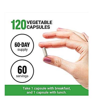 Force Factor PROBIOSLIM to reduce weight 120 vegetarian capsules - Buy Online on GoSupps.com