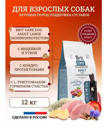 Brit Dry food for dogs Adult Large 12 kg