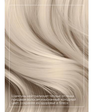 Concept Salusfant shampoo to neutralize yellowness Ice Blond 3 ... - Buy Online on GoSupps.com