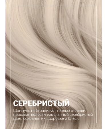 Concept Silver shampoo from yellowness blond anti yellow 1000 ml - Buy Online on GoSupps.com
