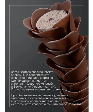 Concept Silver shampoo from yellowness blond anti yellow 1000 ml - Buy Online on GoSupps.com