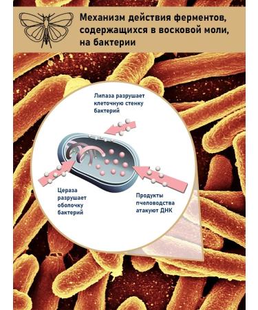 Wild honey Natural honey with propolis - coughing balkham - Buy Online on GoSupps.com