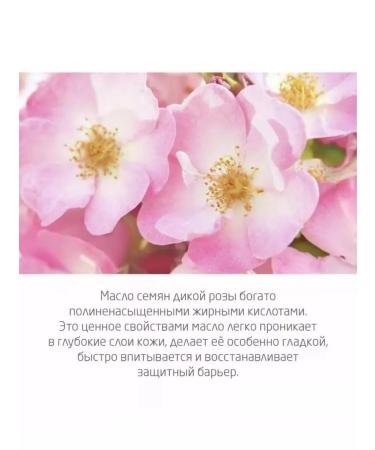 WELEDA Pink tender milk for the body 200 ml - Buy Online on GoSupps.com