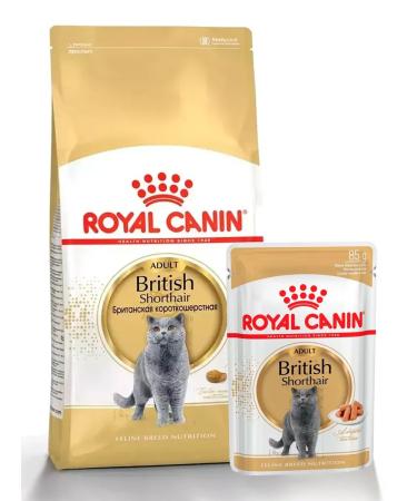 ROYAL CANIN British shorthair adult for cats 400 grams British - Buy Online on GoSupps.com