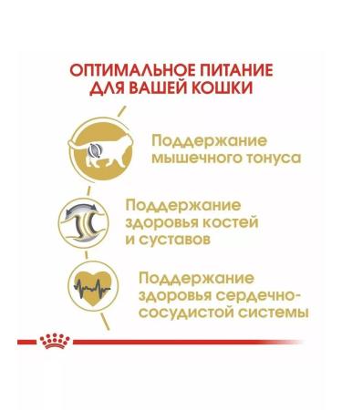 ROYAL CANIN British shorthair adult for cats 400 grams British - Buy Online on GoSupps.com