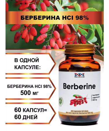 Energy Bio Systems Berberin 500 mg 60 weight loss capsules