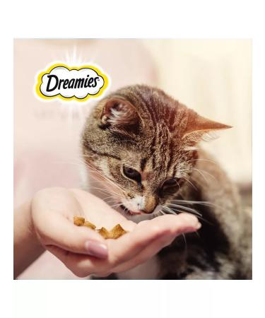 DREAMIES A treat for cats and kittens with salmon 140g - Buy Online on GoSupps.com