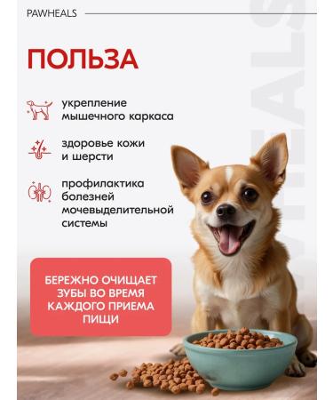 Pawheals Dry Holistic Feed for Dogs 1 kg - Buy Online on GoSupps.com