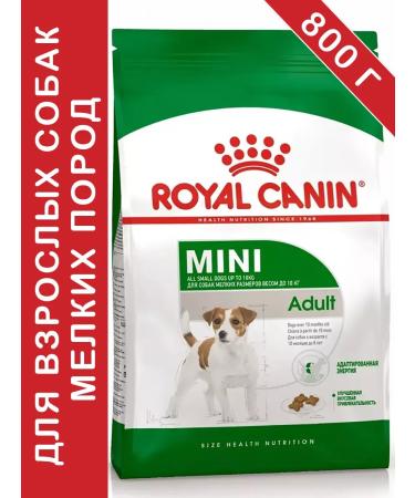 ROYAL CANIN Mini adult for dogs 800 grams