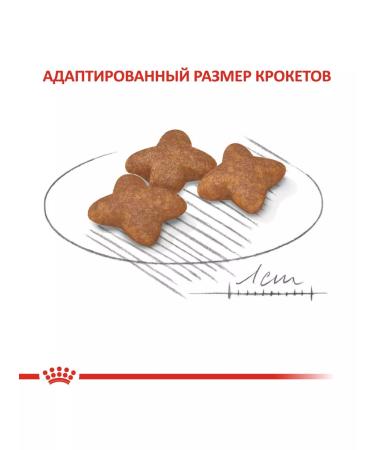 ROYAL CANIN Mini adult for dogs 800 grams - Buy Online on GoSupps.com