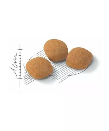 ROYAL CANIN Protein Exigent for fastidious cats 400 grams - Buy Online on GoSupps.com