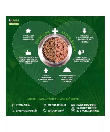 MONGE Paste for cats of large breeds with a buffalo 16 pcs. 100 g - Buy Online on GoSupps.com