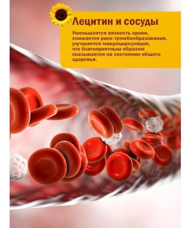 Fitrule Nutrition Sunflower lecithin lecithin 1000 mg 60pcs for brain liver - Buy Online on GoSupps.com