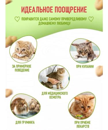 Country delicacies Cats for cats with amino acid for immunity 2 units - Buy Online on GoSupps.com