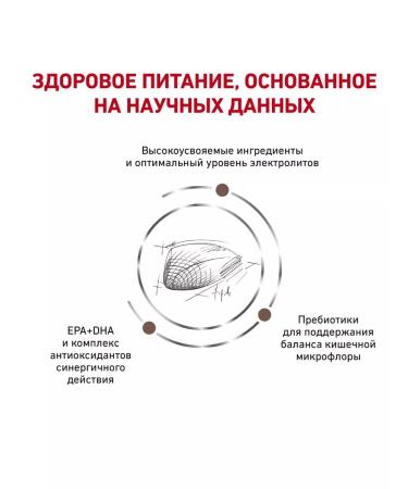 ROYAL CANIN Gastrointestinal for cats 350 g of gastrointestinal - Buy Online on GoSupps.com