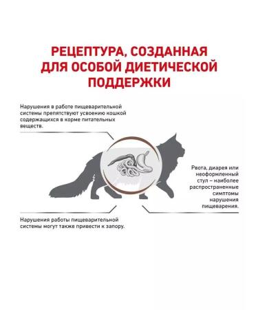 ROYAL CANIN GastroinTestinal Fiber Response for cats 350 g - Buy Online on GoSupps.com