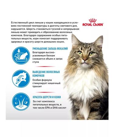 ROYAL CANIN Indoor Long Hair for cats 400 g Indore Long Heir - Buy Online on GoSupps.com