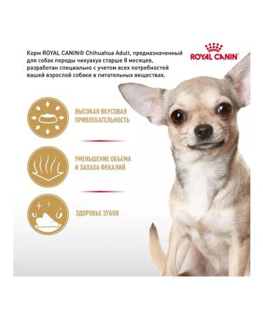 ROYAL CANIN Chihuahua Adult for dogs 500 grams Chihuahua - Buy Online on GoSupps.com
