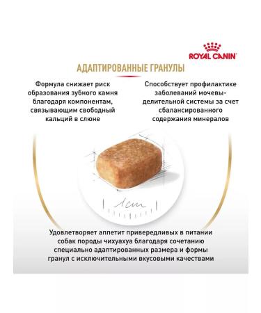 ROYAL CANIN Chihuahua Adult for dogs 500 grams Chihuahua - Buy Online on GoSupps.com