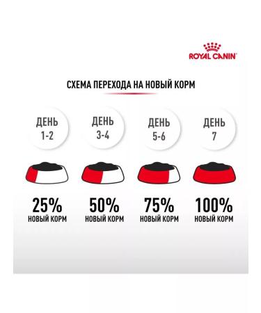 ROYAL CANIN Chihuahua Adult for dogs 500 grams Chihuahua - Buy Online on GoSupps.com