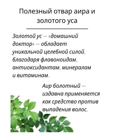 BIELITA Hair shampoo strengthening calamus and golden mustache - Buy Online on GoSupps.com