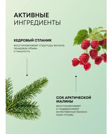 Natura Siberica Fatty hair shampoo Saluscapular volume and balance 400 ml - Buy Online on GoSupps.com