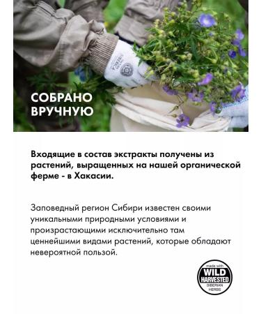 Natura Siberica Liquid cream for hand soap softening moisturizing jasmine - Buy Online on GoSupps.com