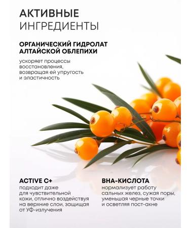 Natura Siberica Piling Pads Facial Disks Acid BHA with vitamin C 20 pcs - Buy Online on GoSupps.com