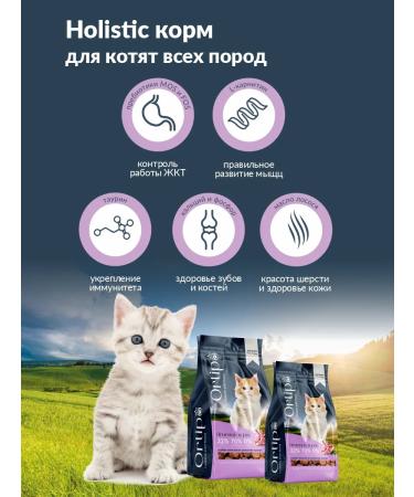 Ortipo Feed holistic for kittens pregnant and nursing cats 1.5 kg - Buy Online on GoSupps.com