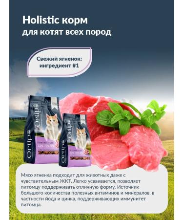 Ortipo Feed holistic for kittens pregnant and nursing cats 1.5 kg - Buy Online on GoSupps.com