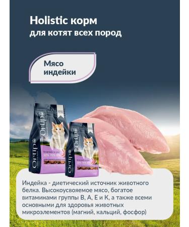 Ortipo Feed holistic for kittens pregnant and nursing cats 1.5 kg - Buy Online on GoSupps.com