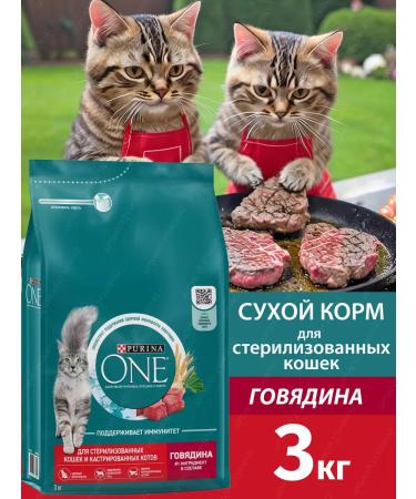 PURINA ONE Dry food for sterilized cats with beef 3 kg