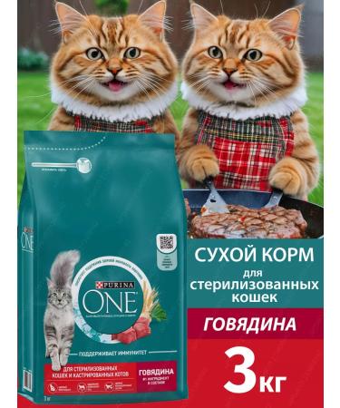 PURINA ONE Dry food for sterilized cats with beef 3 kg - Buy Online on GoSupps.com