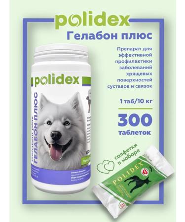 polidex Vitamins for dogs Polydex Gelabon for joints and ligaments