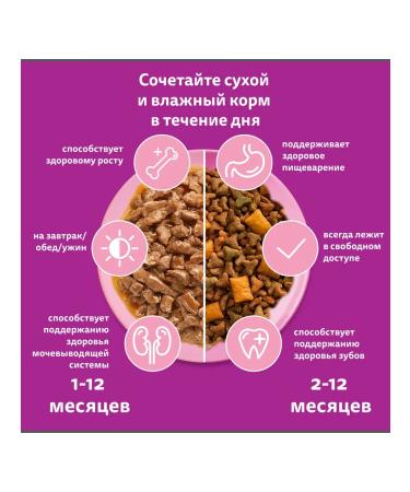 WHISKAS Wet food for kittens stew with lamb 56pcs (75g) - Buy Online on GoSupps.com