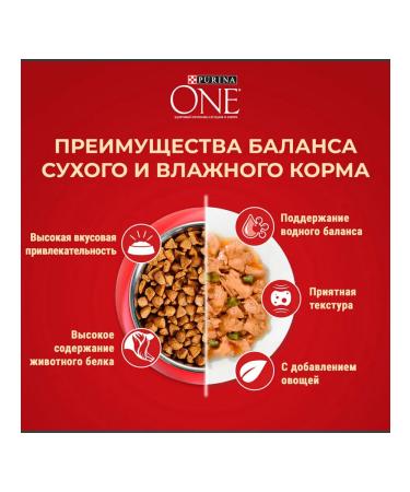 PURINA ONE Dog feed for dry mini control over turret 1.5 kg 4 pcs - Buy Online on GoSupps.com