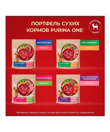 PURINA ONE Dog feed for dry mini control over turret 1.5 kg 4 pcs - Buy Online on GoSupps.com